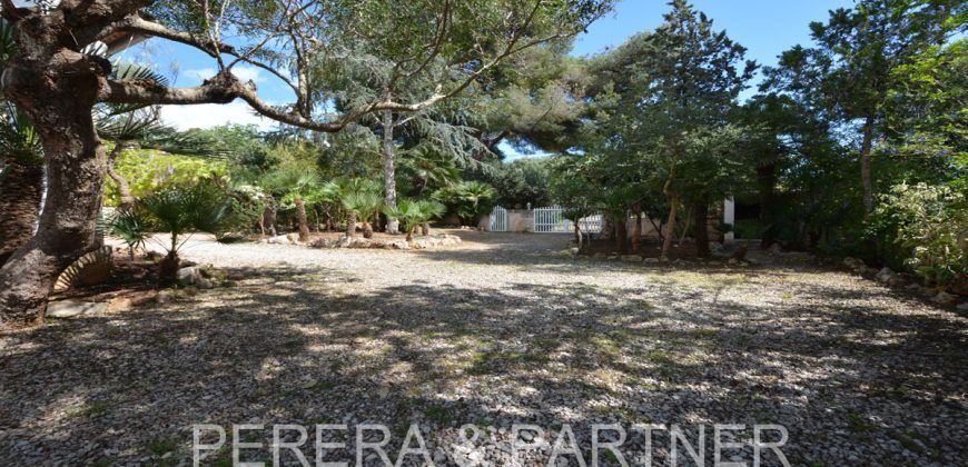 Ref. A004: Beautiful, tiny house located in Font de Sa Cala