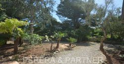 Ref. A004: Beautiful, tiny house located in Font de Sa Cala Ref. A004: Beautiful, tiny house located in Font de Sa Cala